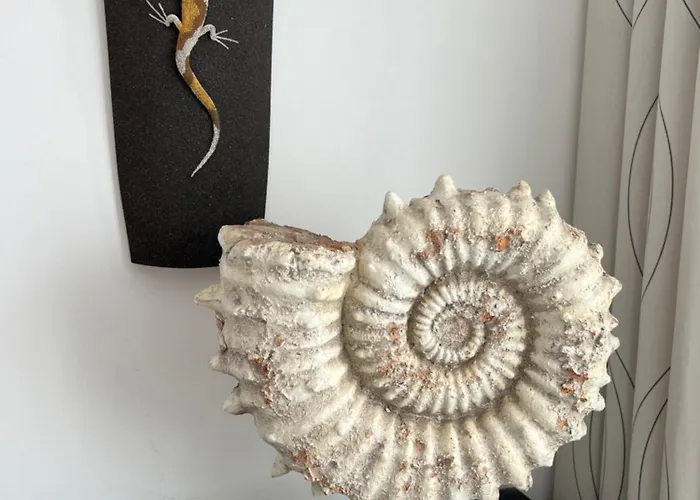 Thiago Puerto Calero